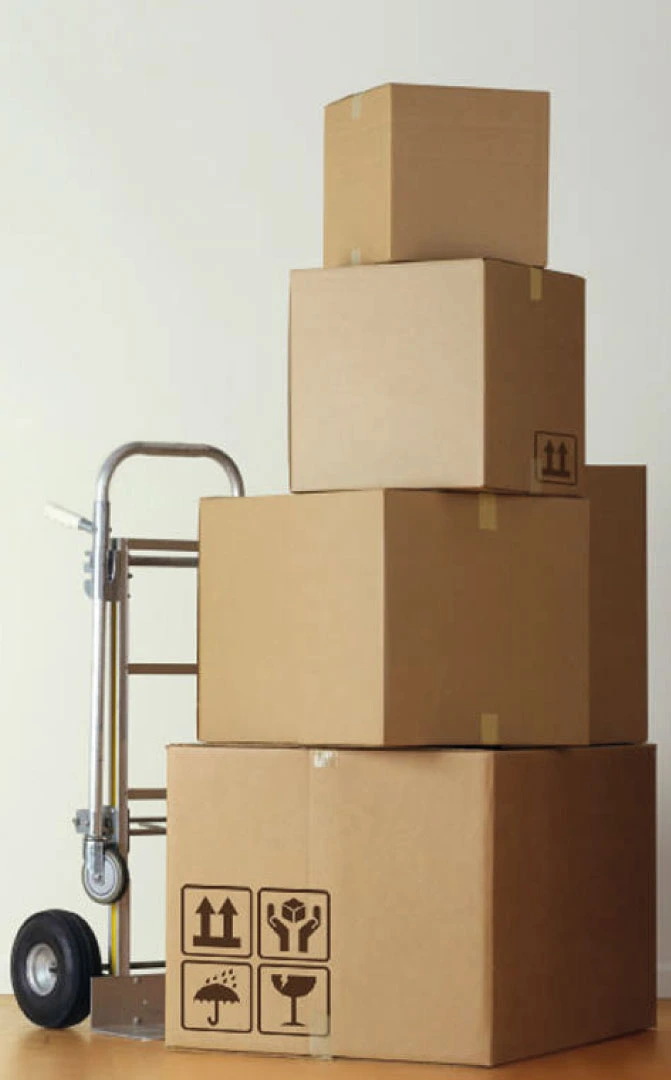 subitotraslochilugano 671x1080 2